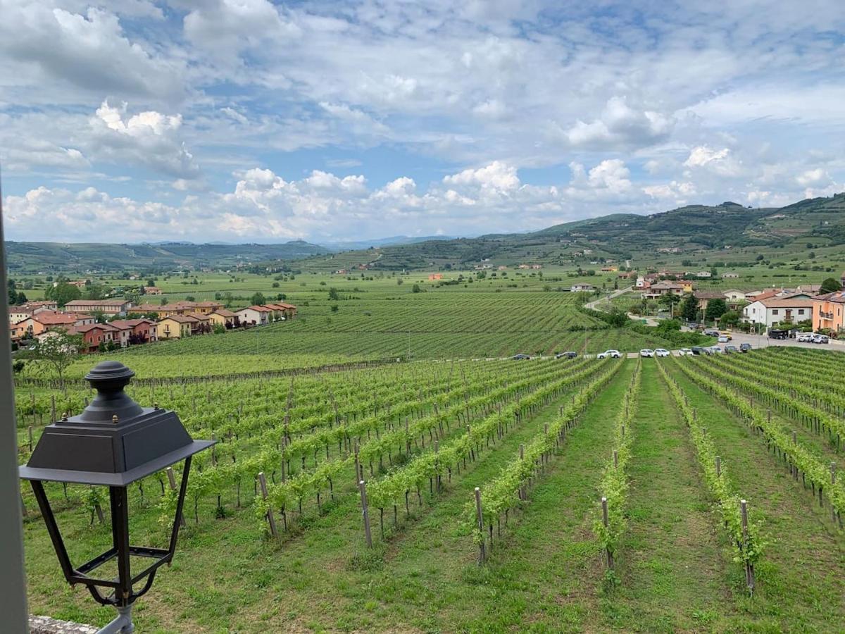 Soave House Alle Vigne-2-Luxury Stay المظهر الخارجي الصورة
